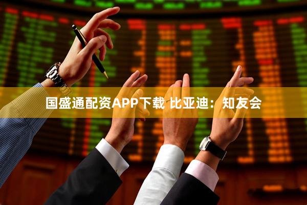 国盛通配资APP下载 比亚迪：知友会